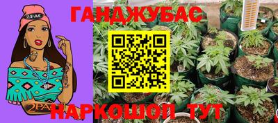 spice Новозыбков