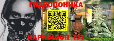 spice Новозыбков