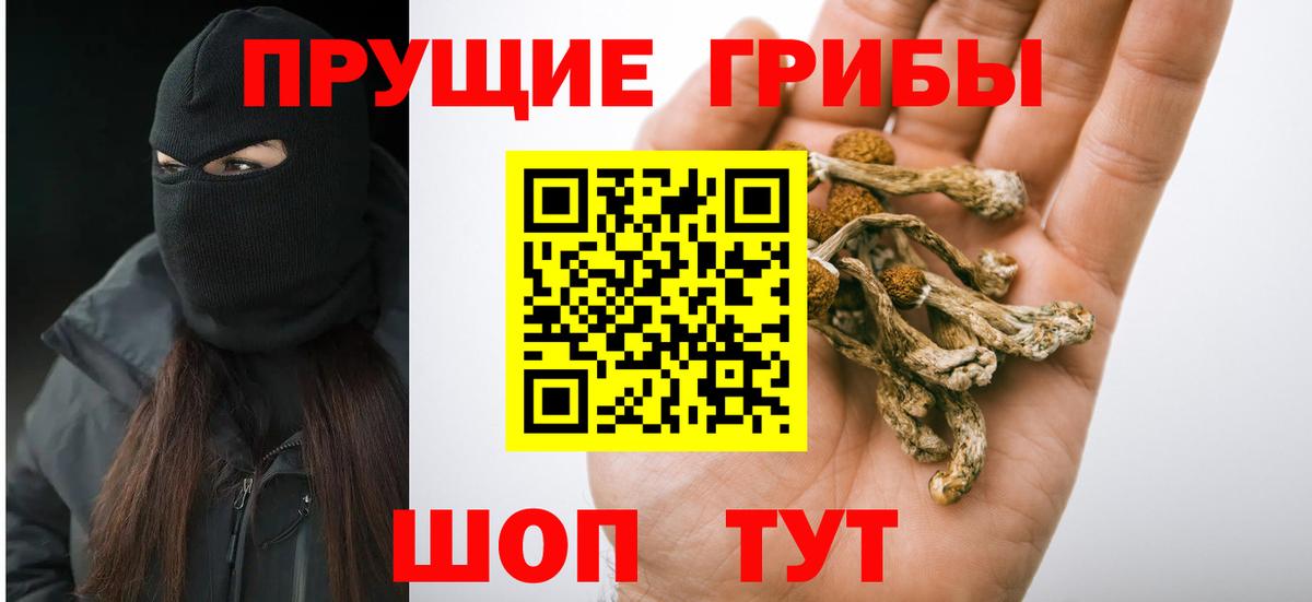 Псилоцибиновые грибы GOLDEN TEACHER  Вход с VPN  Учалы 
